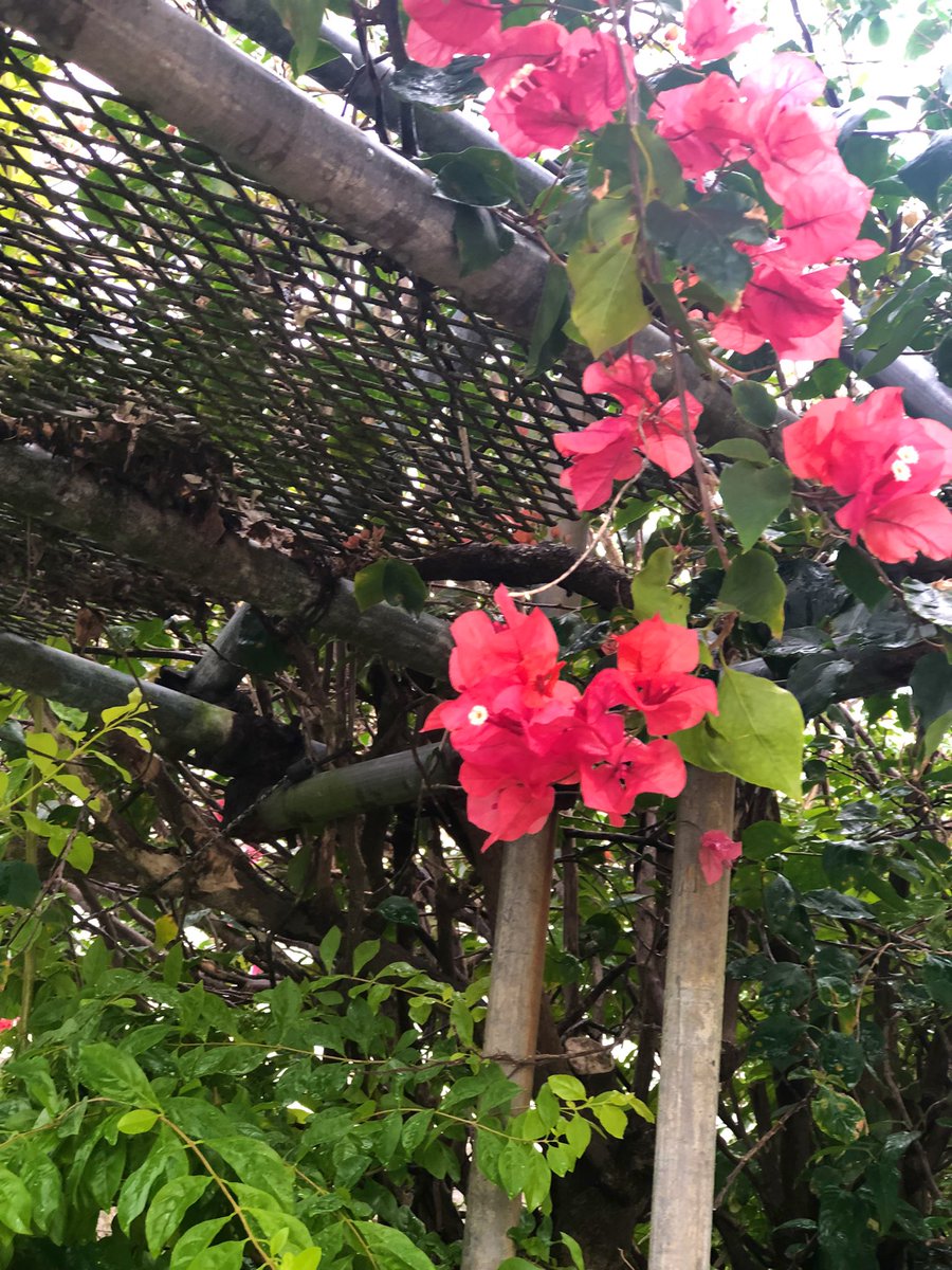 おはようございます🌈 週末金曜日(o^^o) あいにくの天気ですが☔️ 焦らず😌 心穏やかに💕 出来ることをコツコツと🌱 前へ進めていきましょう☕️ 皆様 充実した一日を お過ごし下さい🌺 本