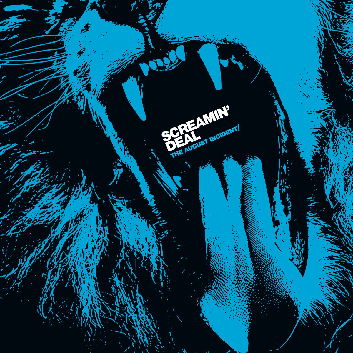 We'll soon be releasing a new 10-song album, and it's a bit of a departure from what we've put out to date. In the meantime, here's a song from our 2020 album "The August Incident!" called "A Bend In The Stars" 💫 #TBT #ThrowbackThursday #indiemusic screamindeal.bandcamp.com/track/a-bend-i…