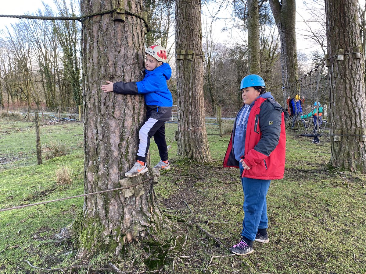 Ysgol y Ddraig tweet media