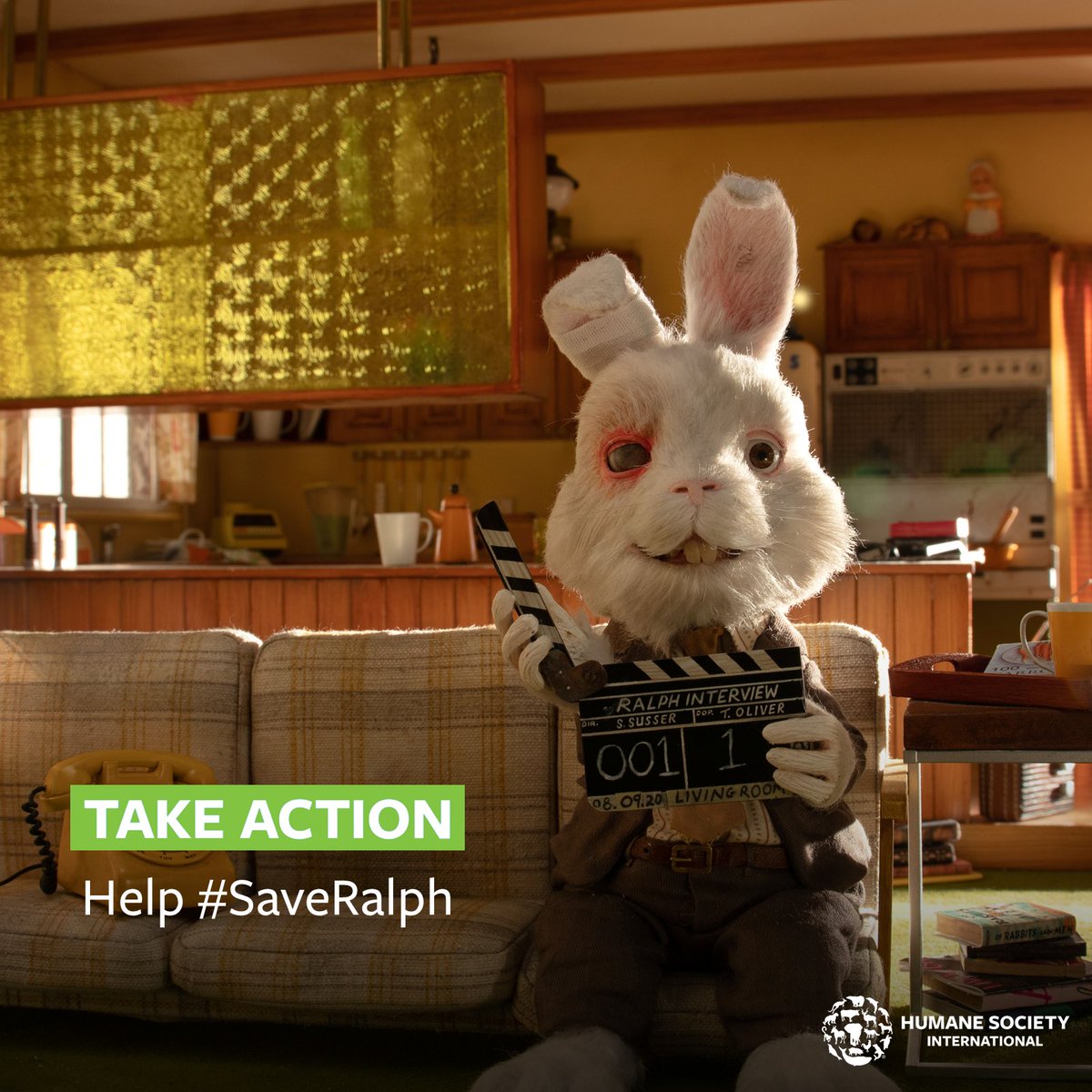 humaneworldeat's tweet photo. #TakeActionThursday 🎬 The Canadian @liberal_party made an election promise to ban #cosmetic #animaltesting. Sign our petition & show your support for the government introducing a new #CrueltyFree Cosmetics Act ASAP. 🐰 #SaveRaph https://t.co/3ItphIlSfD https://t.co/Ygw6nW8qGT