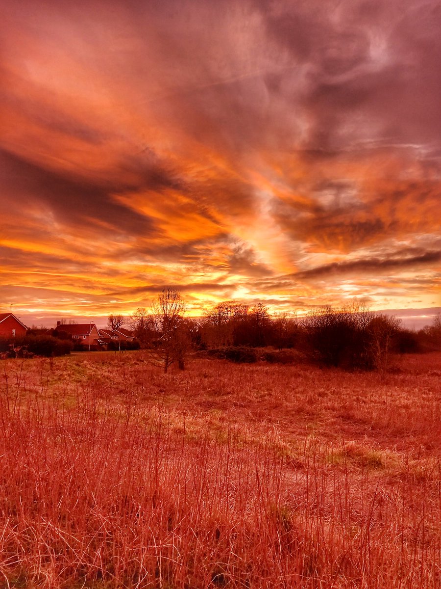 Sally (@fairytalechic) on Twitter photo A spectacular sky over Grovelands, Warminster.
<a href="/Grovelandssite/">Grovelands Flora and Fauna</a> #Warminster #Wiltshire #sunset A spectacular sky over Grovelands, Warminster.
<a href="/Grovelandssite/">Grovelands Flora and Fauna</a> #Warminster #Wiltshire #sunset