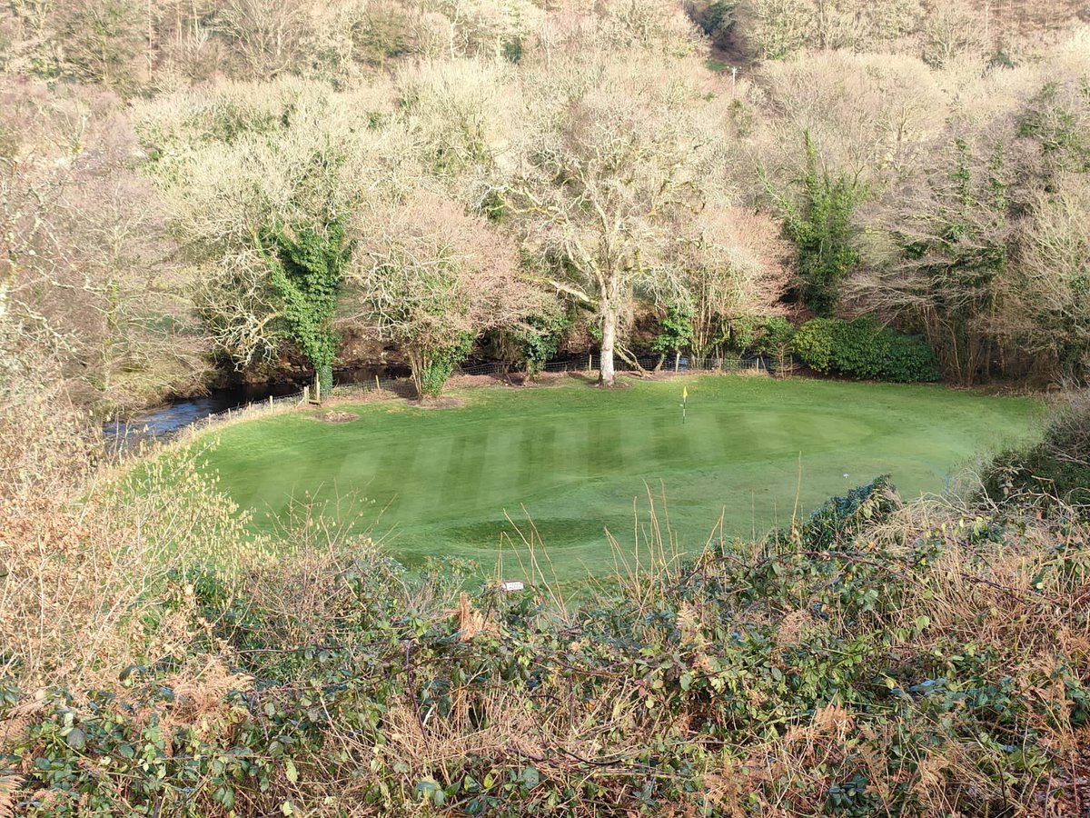 Bigga Devon & Cornwall Section tweet media