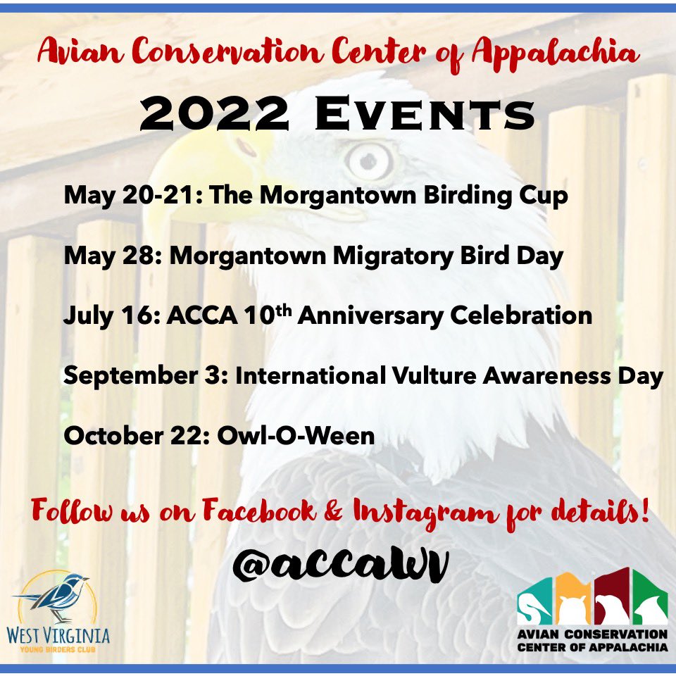 Avian Conservation Center of Appalachia tweet media