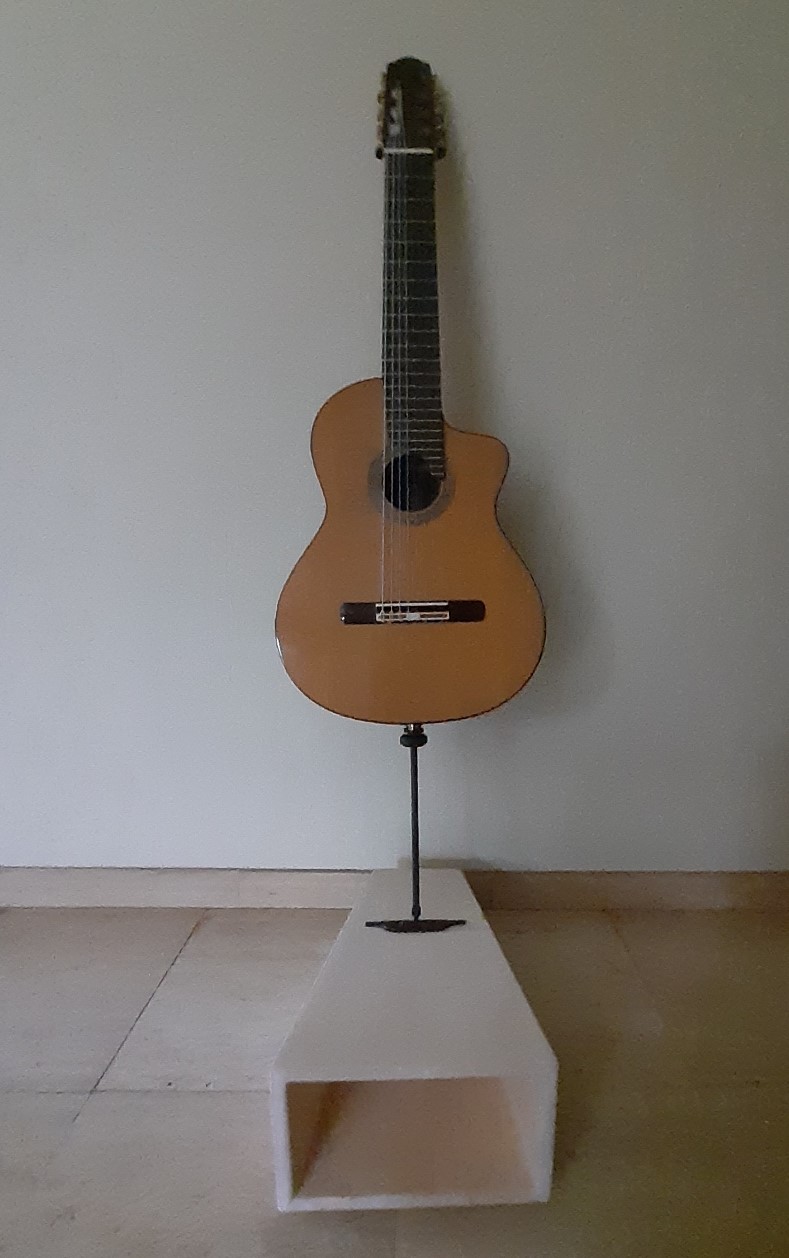 Guitar - VII. 8 STRINGS GUITAR f#beadgbe, CELLO POSITION & PIN, Resonance Box FKsgb4JXoAIm-yc?format=jpg&name=large