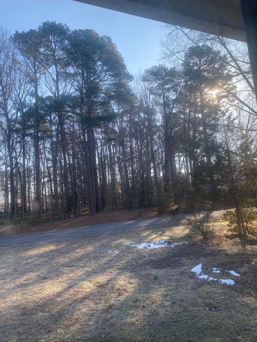 ShellieArcher's tweet image. Look to the Canvas Above thepassiontranslation.com/look-to-the-ca…