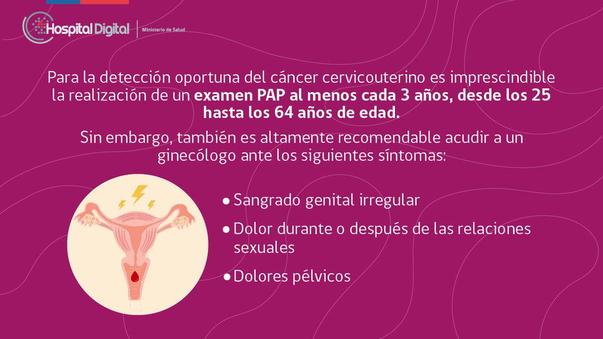 KSeremi's tweet photo. 🤚📢Hoy se conmemora el Día Internacional Contra el Cáncer, quiero hablar sobre el cáncer cervicouterino. En Chile cada 14 horas muere una mujer producto de este. Cuidémonos entre todas, por favor, seamos responsables y hagámonos nuestros PAP. 
@MMEGAntofagasta  @SeremiSalud2 https://t.co/oCPf3eehNq