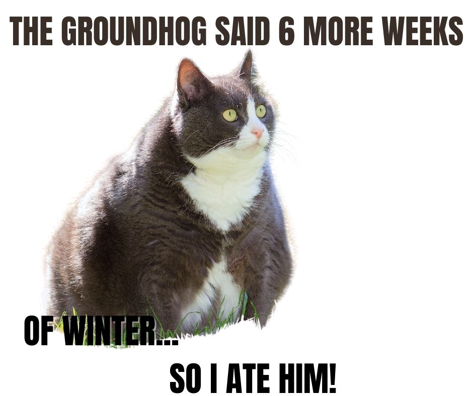 WyseHomeTeam's tweet photo. 6 more weeks! https://t.co/jngyv8p8vA