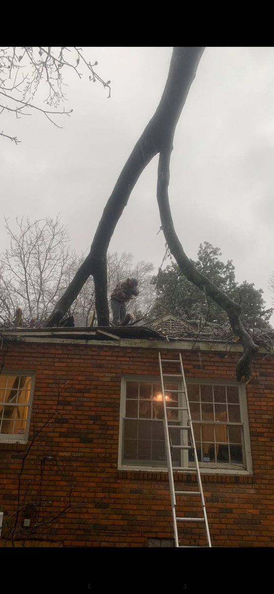 TevinWooten's tweet photo. THIS is why we’re most concerned about this storm. Southern winter storms pack a damaging ice threat. Trees continue to topple in #Memphis. Michael Brennan sent these from his house as a tree crashed in. Everyone is okay. #WinterStorm #Landon @weatherchannel https://t.co/E1Gyszc4GV
