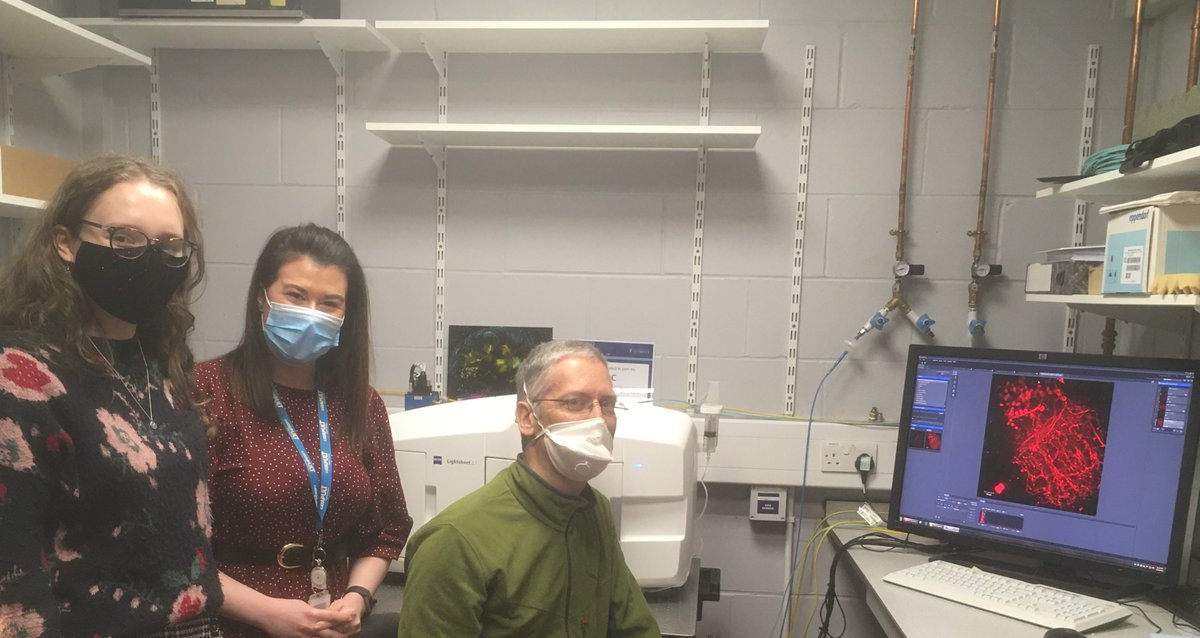 Looking at vasculature in  #cancer  with #lightsheet together with <a href="/GelderKatie/">Katie Gelder</a> &amp;  @RebeccaKel2 from <a href="/MedDiscCat/">Medicines Discovery Catapult</a>. Thanks for the great sample CATAPULT :)  <a href="/livuniLivSRF/">Liverpool Shared Research Facilities</a> @livuniHLS