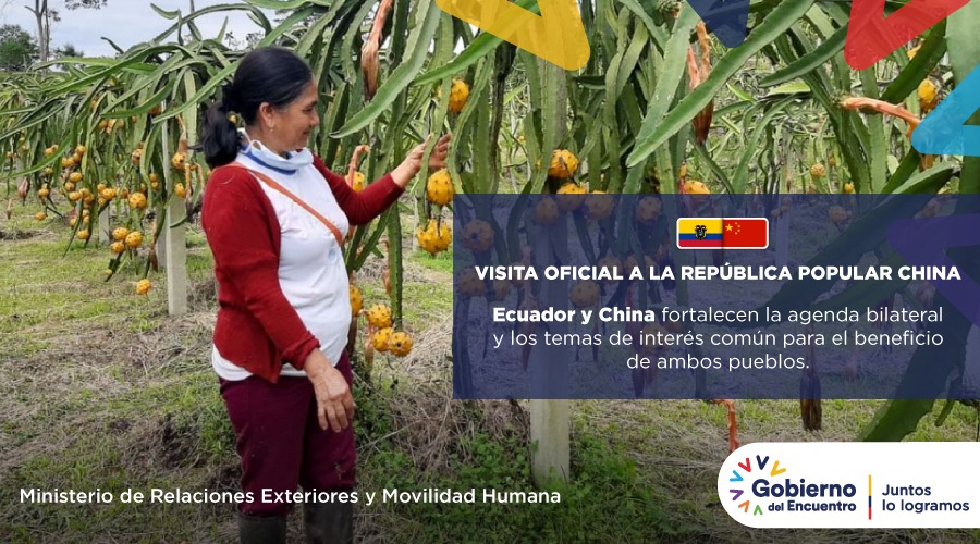 En la visita oficial a China, el presidente <a href="/LassoGuillermo/">Guillermo Lasso</a> mantendrá encuentros oficiales para tratar temas de producción y comercio agrícola.
 
🇪🇨🤝🇨🇳
 
#MásEcuadorEnElMundo