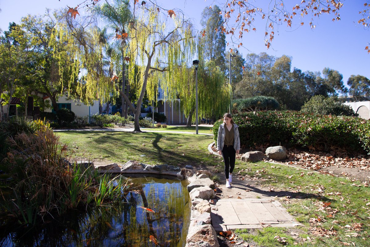 Take some time to practice Mindful Walking. Head to a location that makes you feel at ease and turn off your phone. To stop your mind from the thoughts of past and future, focus on your breathing, think about the experience of your body walking, and take in your surroundings.