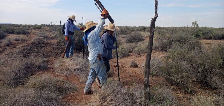 turtletweets's tweet image. Turtles have been roaming the planet for 230 million years, &amp;amp; they’ve fought hard for their place here! That’s why we protect land for turtles &amp;amp; tortoises to continue living as they have for so long. Save turtles, save the planet 🐢🌏