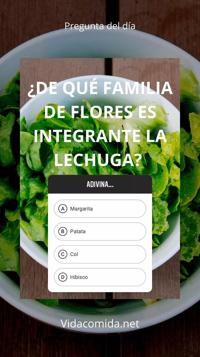 VidaComida_'s tweet photo. ¿De qué familia de flores es integrante la lechuga? 
A-. Margarita
B-. Patata
C-. Col
D-. Hibisco https://t.co/OVBEjPR4Hz
