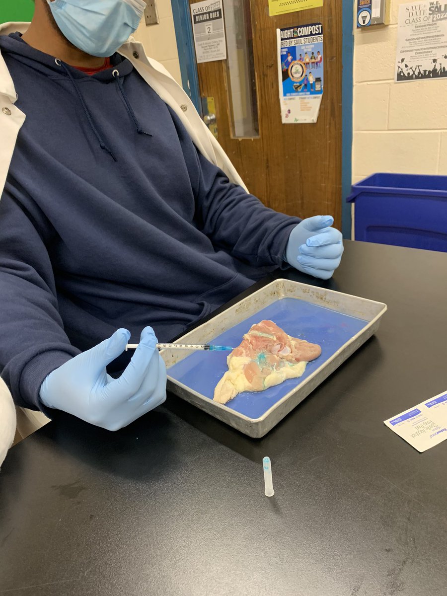 update: senior animal science injection practice was live today during class!! all stuffed animal patients have officially been cured 💉🩹