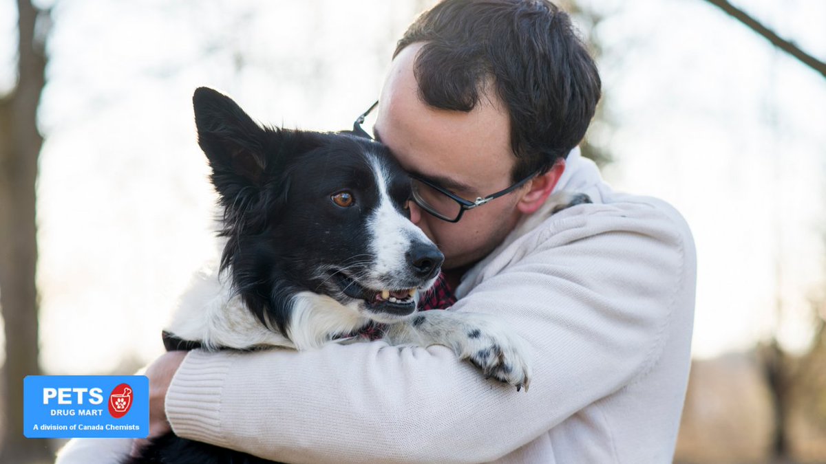 Pet owners have better self-esteem and are always happy. 🐾 ❤️ 

People with pets are less lonely and more in shape than those who do not own pets.

Contact Pets Drug Mart for all your pets needs: bit.ly/3q1HozE 

#PetsDrugMart #PDM