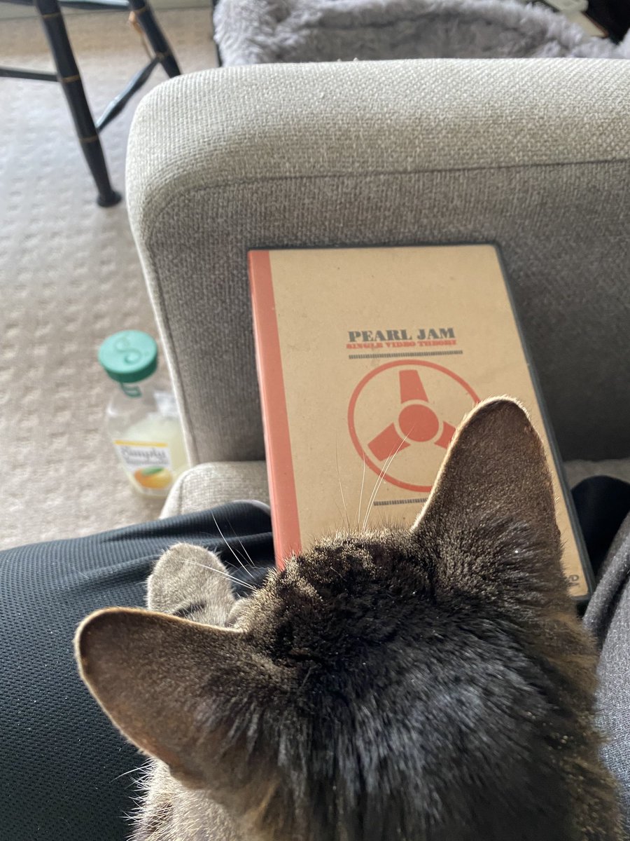 pjtourkid's tweet photo. ⁦@PearlJam⁩ cats love #YieldDay https://t.co/3cuOeKWBLl