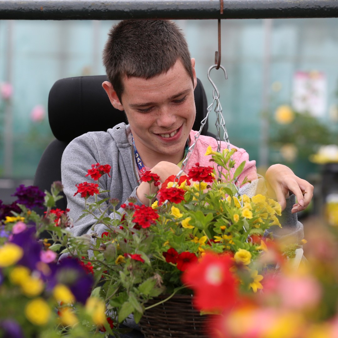 Order your mixed flower hanging baskets for spring, from our Garden Centre and Gift Shop now for collection in April. Our <a href="/horticulturede4/">Horticulture Pathway at Derwen College</a> team will make from scratch or refill good quality used baskets. Visit us in person or give us a call on 01691 779231. #supportDerwen