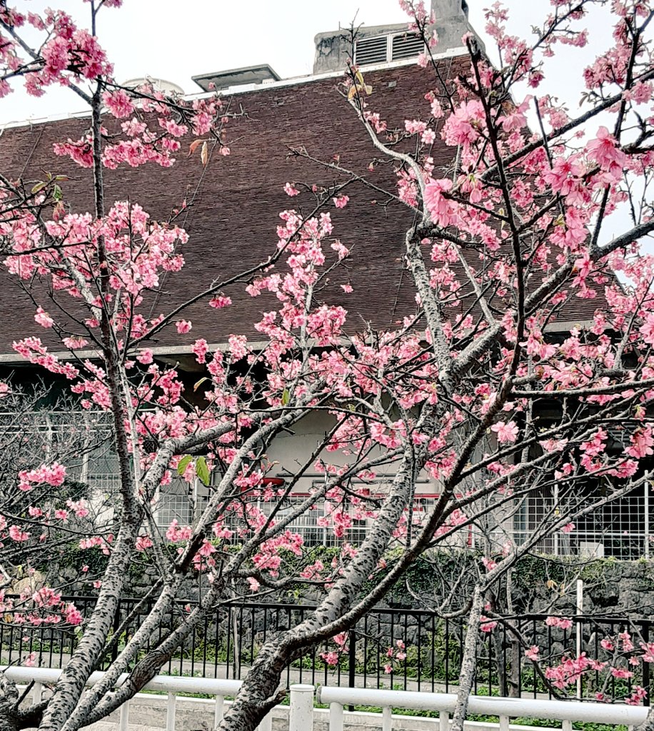 与儀公園 Twitter Search Twitter