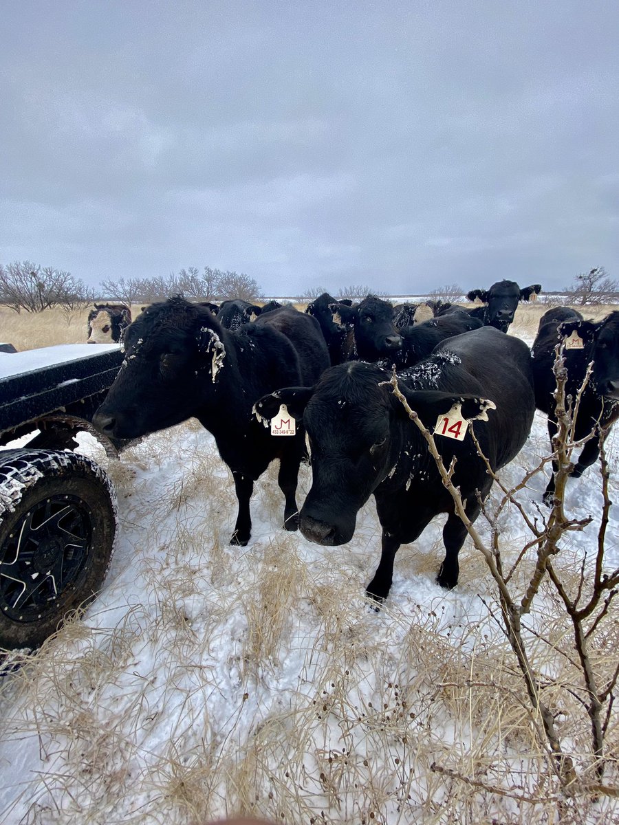 They were a little cold