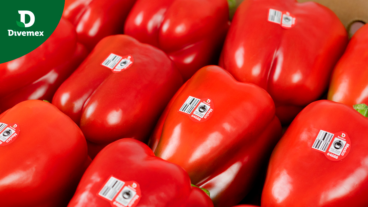 DivemexBells's tweet photo. The perfect addition for your lovely recipes this month of love ❤️
Remember, the way to a person’s heart is through their stomach 😋
#bellpeppers #organic #monthoflove #valentines #healthyfood #fairtrade #ThePerfectAddition #FunAndFresh #capsicum #poivrons #DivemexBells https://t.co/F8PccSVQSN