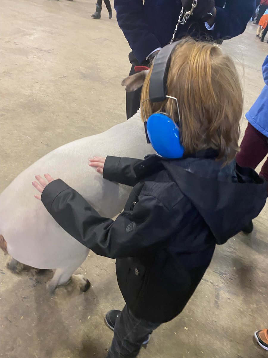 NEdwards_SWE's tweet photo. We had an amazing time at the Humble Rodeo. The kids loved interacting with the animals! Thanks to all the volunteers who made this event happen! @HumbleISD_SWE https://t.co/2wYOb3kzoG