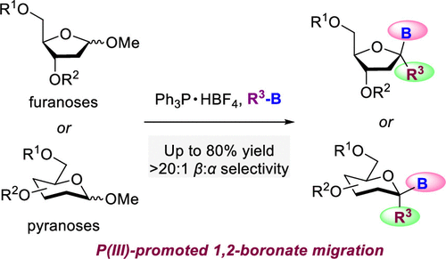 Boron_Chemistry's tweet photo. Stereoselective gem-C,B-Glycosylation via 1,2-Boronate Migration (@J_A_C_S): https://t.co/RFmGcuKzGp. https://t.co/I5gPFYPcWo