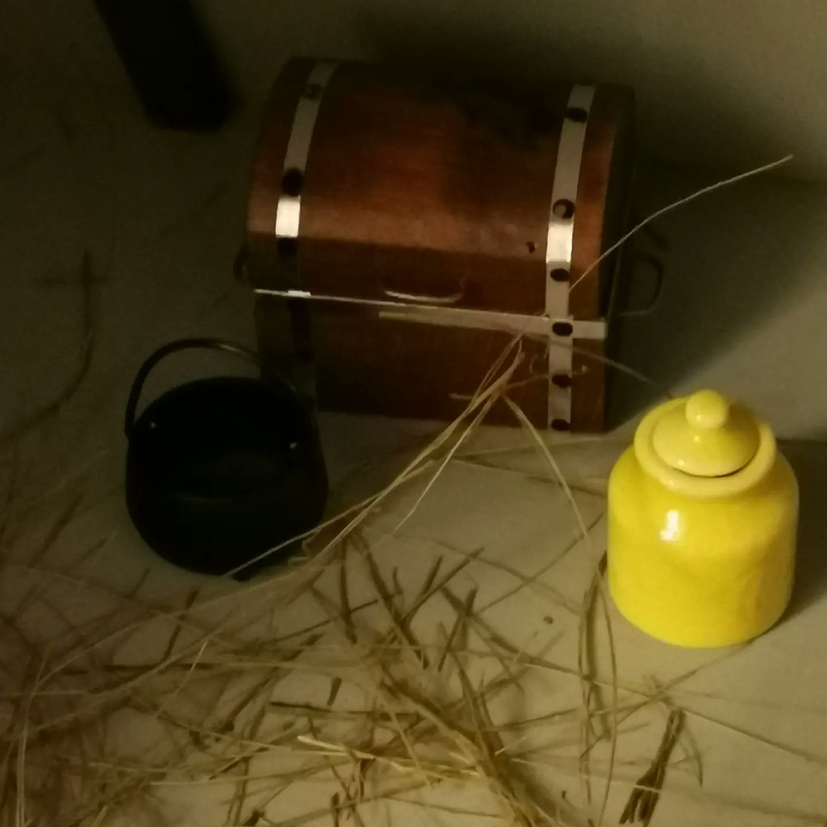 NickiMiniature's tweet photo. A selection for you.... https://t.co/8rJDenpLLD