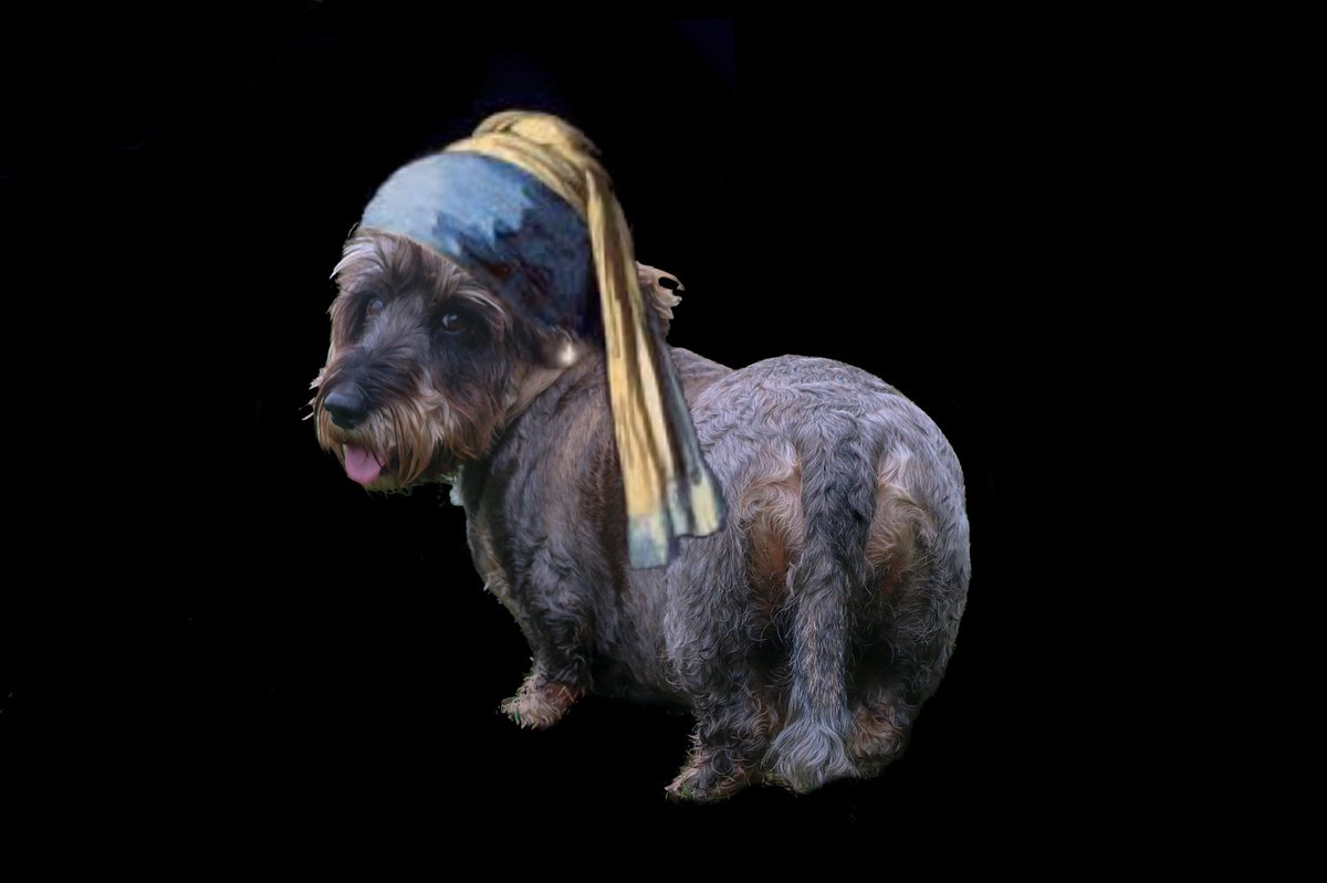 Wally Bobbers 💜 tweet media