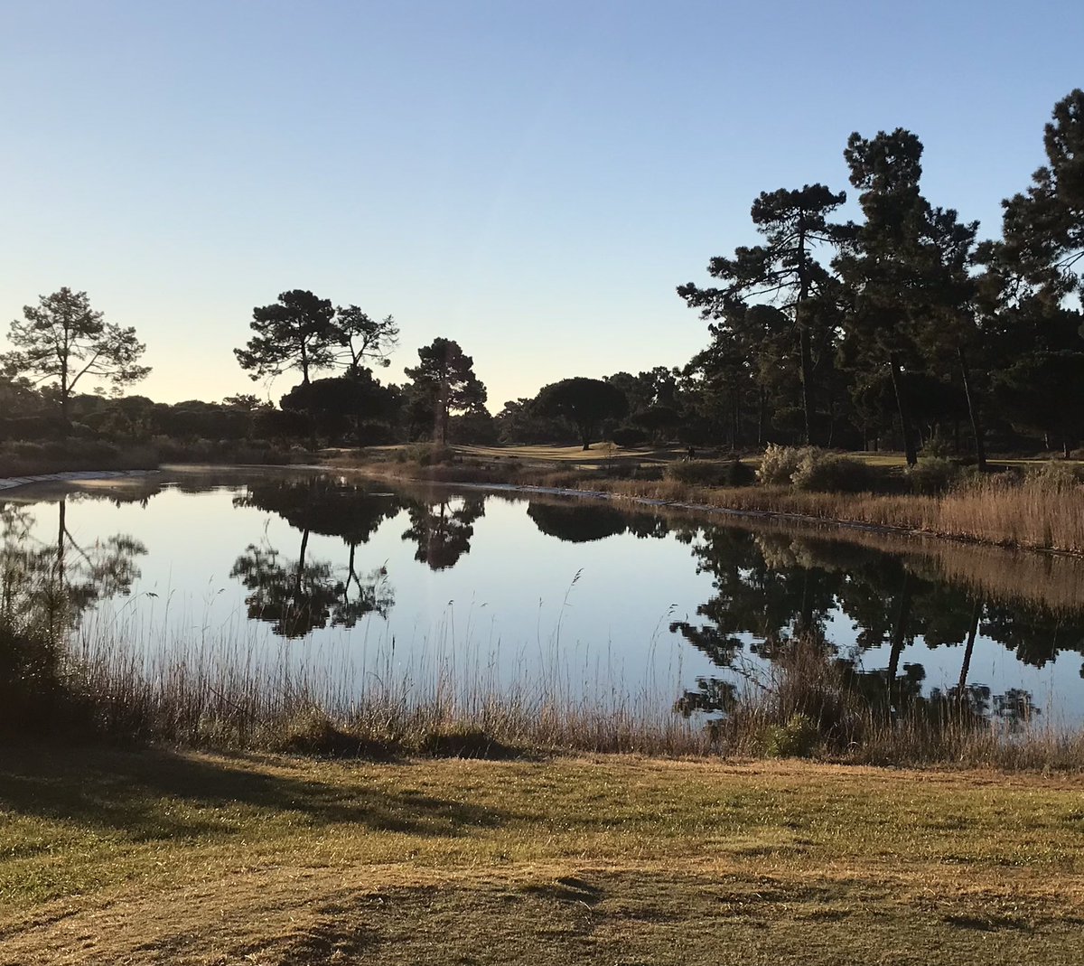 JFgolfacademy's tweet photo. Good luck to @UlsterUniGolf and @MU_Golf competing in the @RandA Tour Series at Troia GC. The opening fairway is there somewhere…. #JohnnyFosterGolf @chris_gallaher https://t.co/H7dRFAFGUs