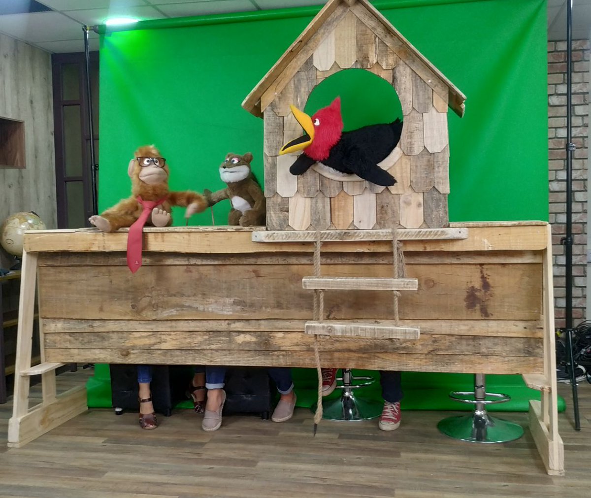 ntchile's tweet image. ¡HOLA✋!Se viene una NOVEDAD INCREÍBLE🤩 para todos nuestros amiguitos y amiguitas✨. 
Pronto, pronto, pronto, llegará una nueva VILLA‼️😱😱😱a la @tvnuevotiempo y plataformas digitales. ¡Estamos muy felices por este nuevo proyecto que amamos con el corazón!
#programainfantil #RT