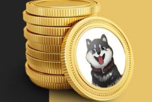 GowwaaN's tweet photo. @austinahilton @inuyashatoken @PochiInu_io 🐕 #PochiInu 🐕

Released yesterday and up over 9000%
New SHIBA INU🔥🔥
METAVERSE NFT DOGS !!
Big whales is buying🤑

Every investor should look at the token that makes METAVERSE ALIVE🔥 #inuyasha #metaverse #pochi #PochiInu
@Peyoteone @teadrinker000 @DanielRegister @hawkzys https://t.co/3lzQ5tke3V