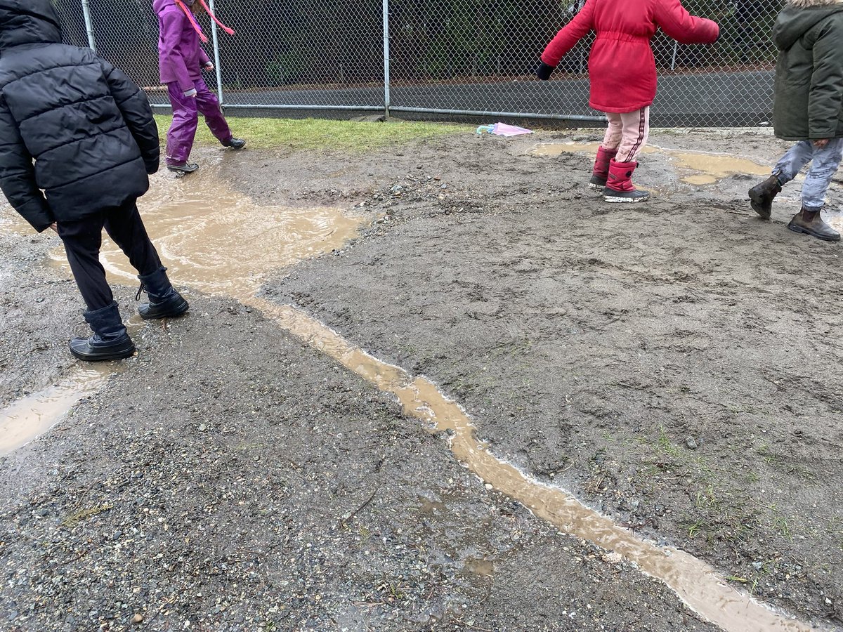 Today’s rain provided the perfect opportunity to reenact our salmon journey stories in a new environment. We found joy in puddles but it didn’t take long for a real world knot to emerge “Can or should the water and land be owned?” Much to unpack tomorrow #sd36learn