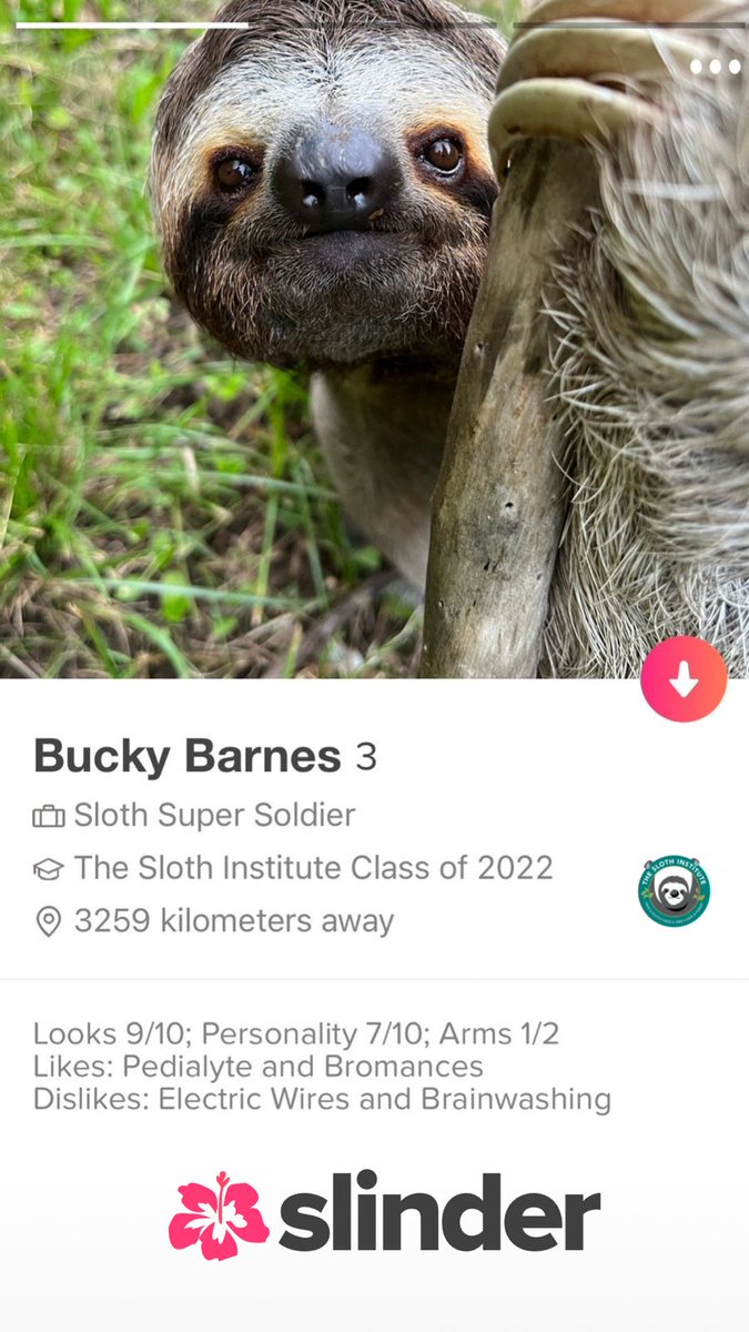 The Sloth Institute tweet media