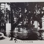 ツイートに含まれる画像