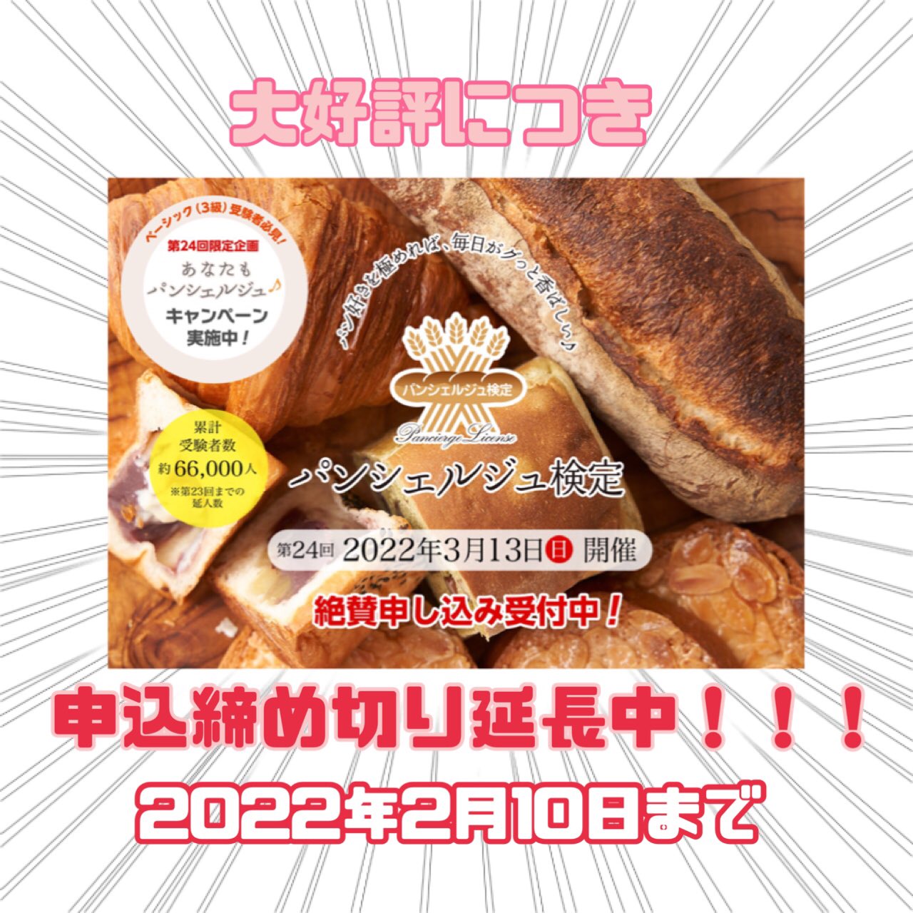 ホームメイド協会　ホームクッキング講座テキスト　パートⅠ、Ⅱ、Ⅲ、Ⅳ、師範科 ホームメイド協会 ホームクッキング講座テキスト パートⅠ、Ⅱ