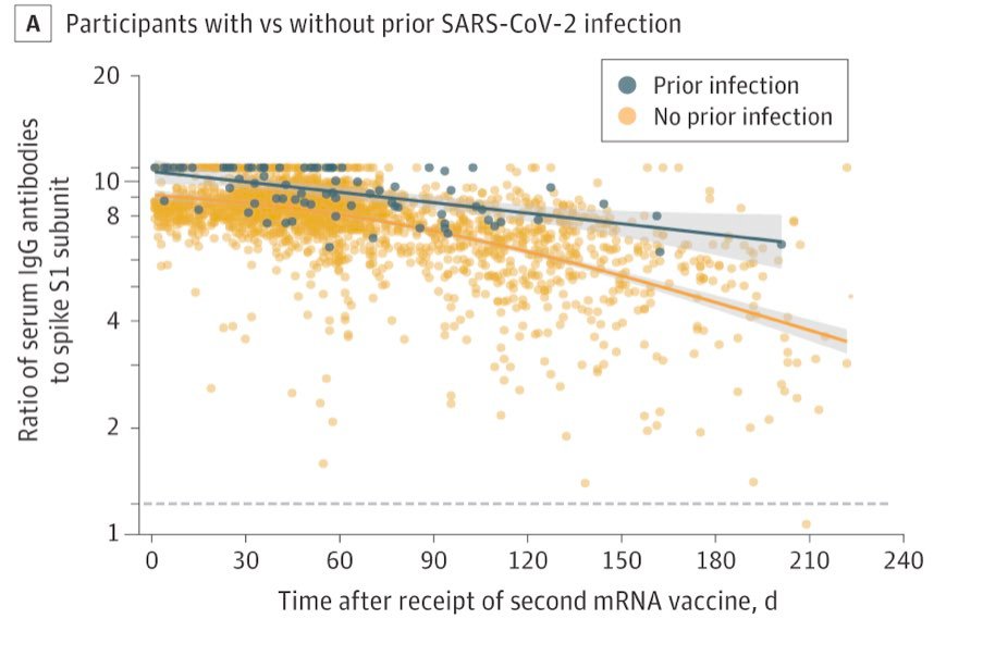 MartyMakary's tweet image. Our Natural Immunity Study out today in JAMA:
👍🏼816 people
👍🏼99.3% with prior Covid had circulating antibodies (unvax)
👍🏼Durable for ~2yrs studied
👍🏼Lexicon of immune/non-imm &amp;gt;&amp;gt; vax/unvax
👍🏼Don&apos;t try to get Cov. But if you had it, imm more durable than vax jamanetwork.com/journals/jama/…