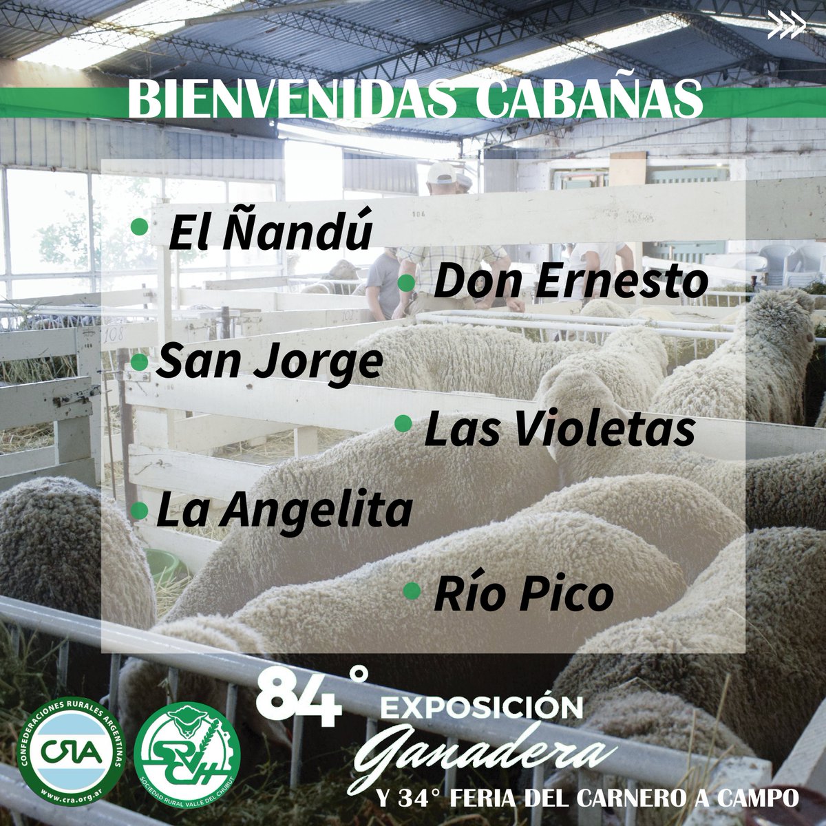 srvch's tweet photo. 📣 Bienvenidas cabañas El Ñandú, Don Ernesto, San Jorge, Las Violetas, La Angelita y Río Pico a nuestra #84°ExposiciónGanadera y #34°Feriadelcarneroacampo 🐑
¡Gracias por formar parte un año más! https://t.co/ObEhIWFb2y