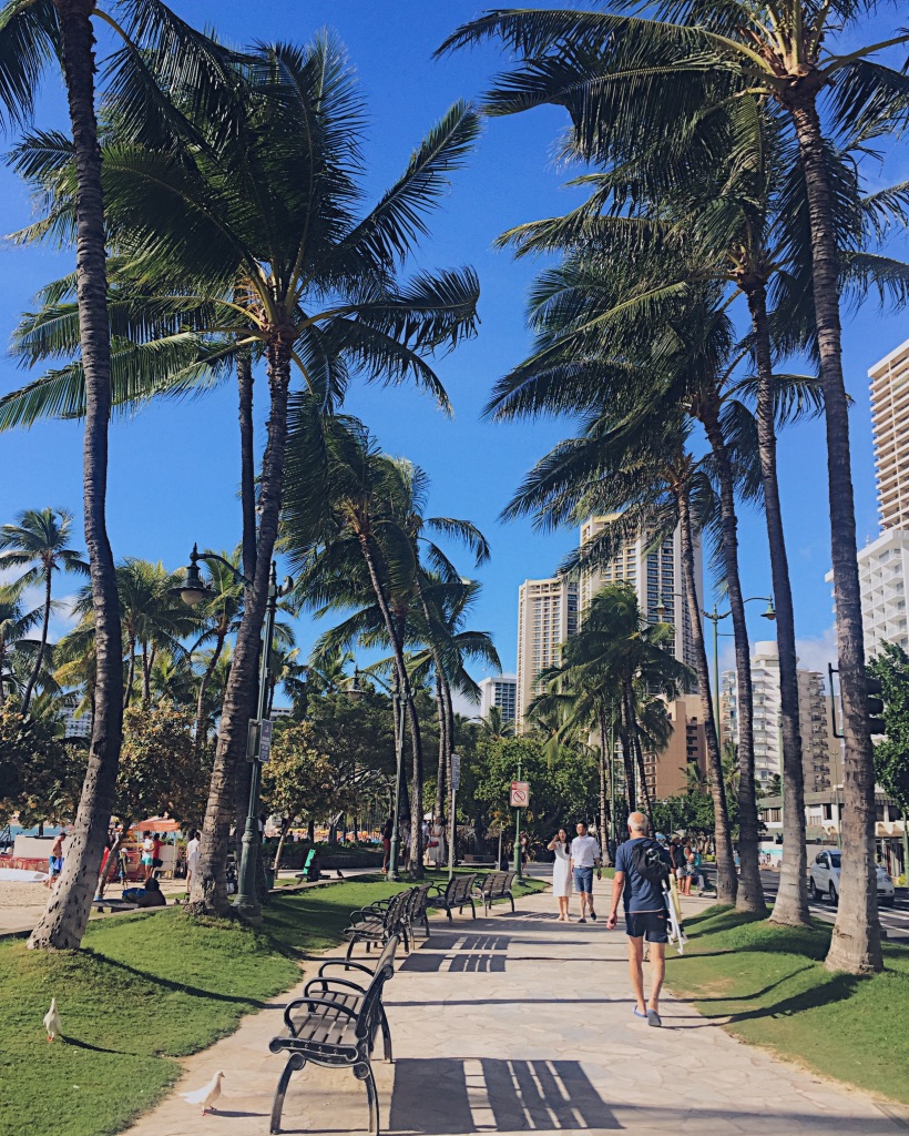 funlocity's tweet photo. Enjoy your walk at Waikiki Beach! 🌊🌴😍

📍Waikiki Beach

#hawaii #oahu #funlocity #honolulu #waikiki #hawaiianislands #travel #aloha #beach #ocean #sun #islandlife #nature #naturelover #explorehawaii #hilife #hawaiilife #tourhawaii #waikikibeach #kalakaua #kuhiobeach https://t.co/Rk9aBRLhyy