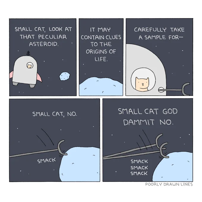 small cat and the asteroid 