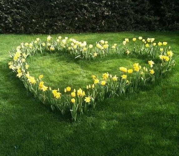 rainbow_explode's tweet photo. heart ring flowers 🌸🌿🌼🌾🌻 https://t.co/toUaQtViV9