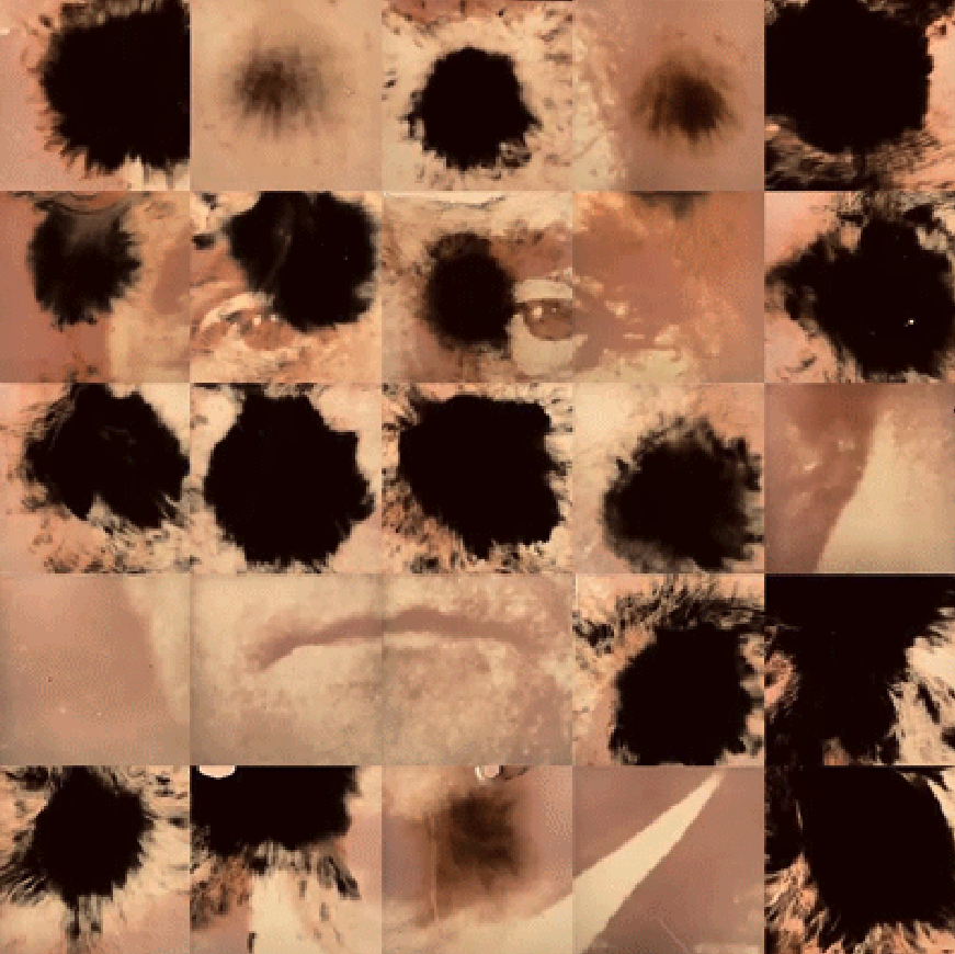 Blacksquare tweet media