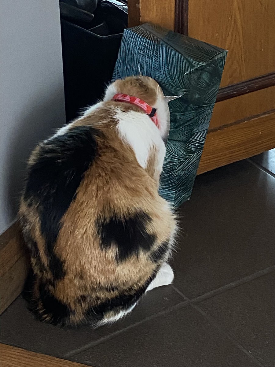 🌺Franckie et Billie 🌺 tweet media