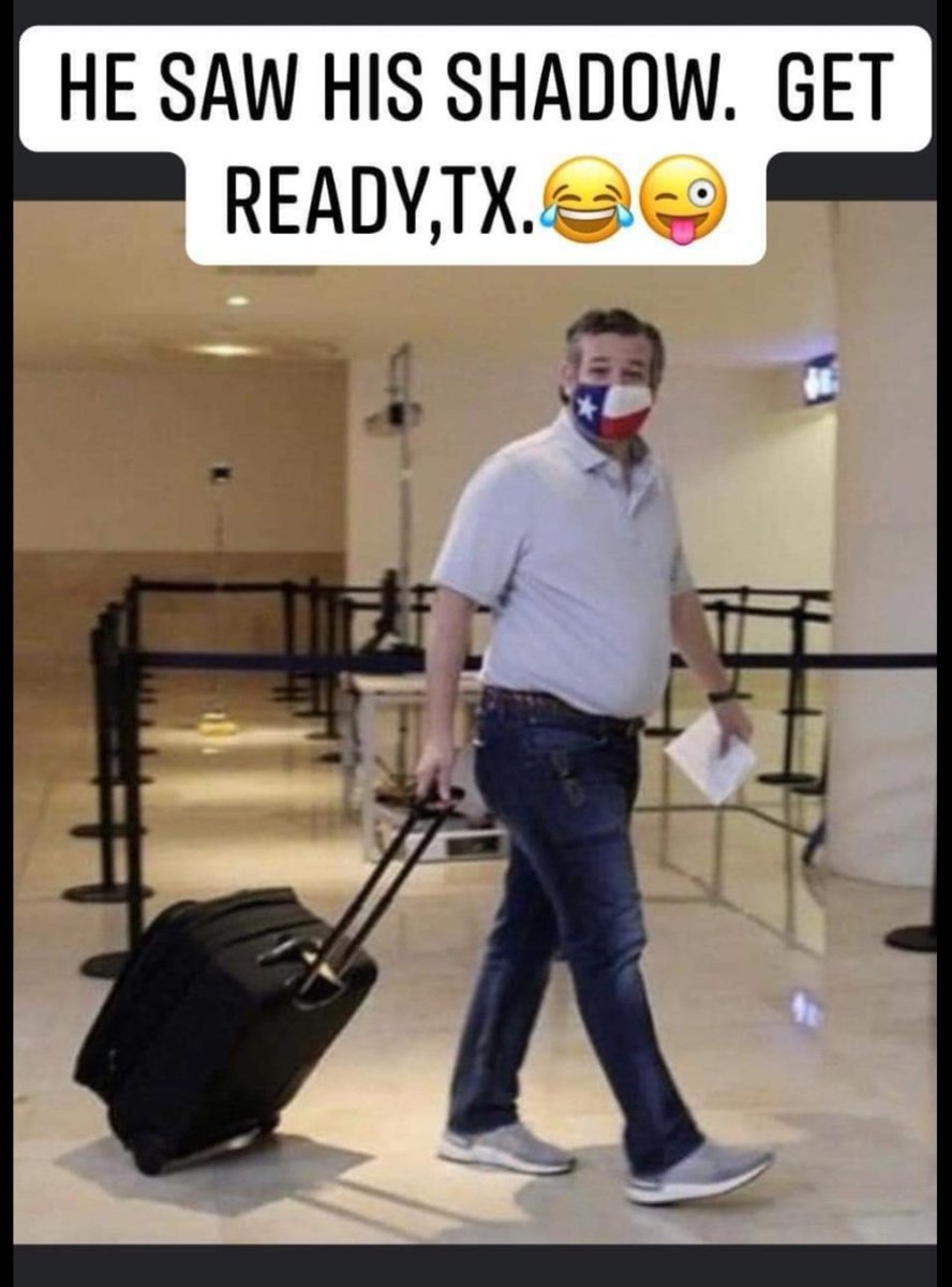 Scott Matula tweet media