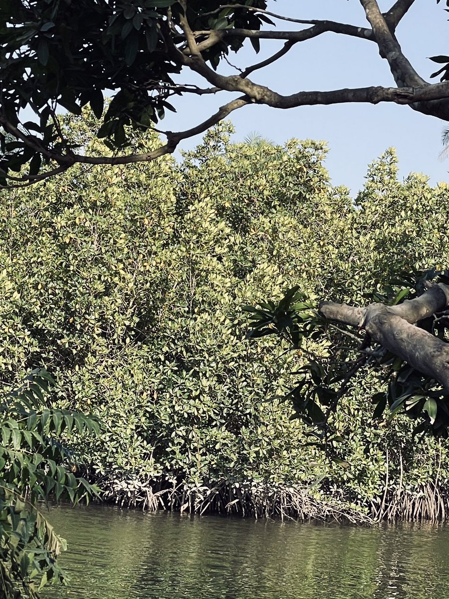 Action pac (@Actionpac21) | Twitter