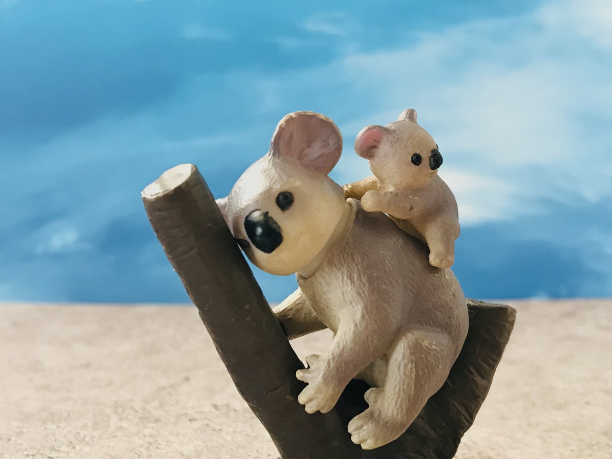ユーカリの木 のイラスト マンガ コスプレ モデル作品 3 件 Twoucan ユーカリの木 のイラスト マンガ コスプレ モデル作品 3 件 Twoucan