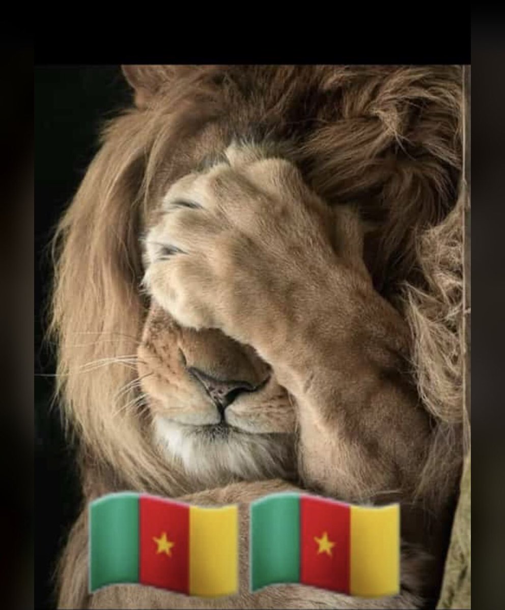 fabey19992590's tweet photo. Les camerounais chaque jeudi 3 février nous les ivoiriens on va poster ça https://t.co/GKHvEx6Qif