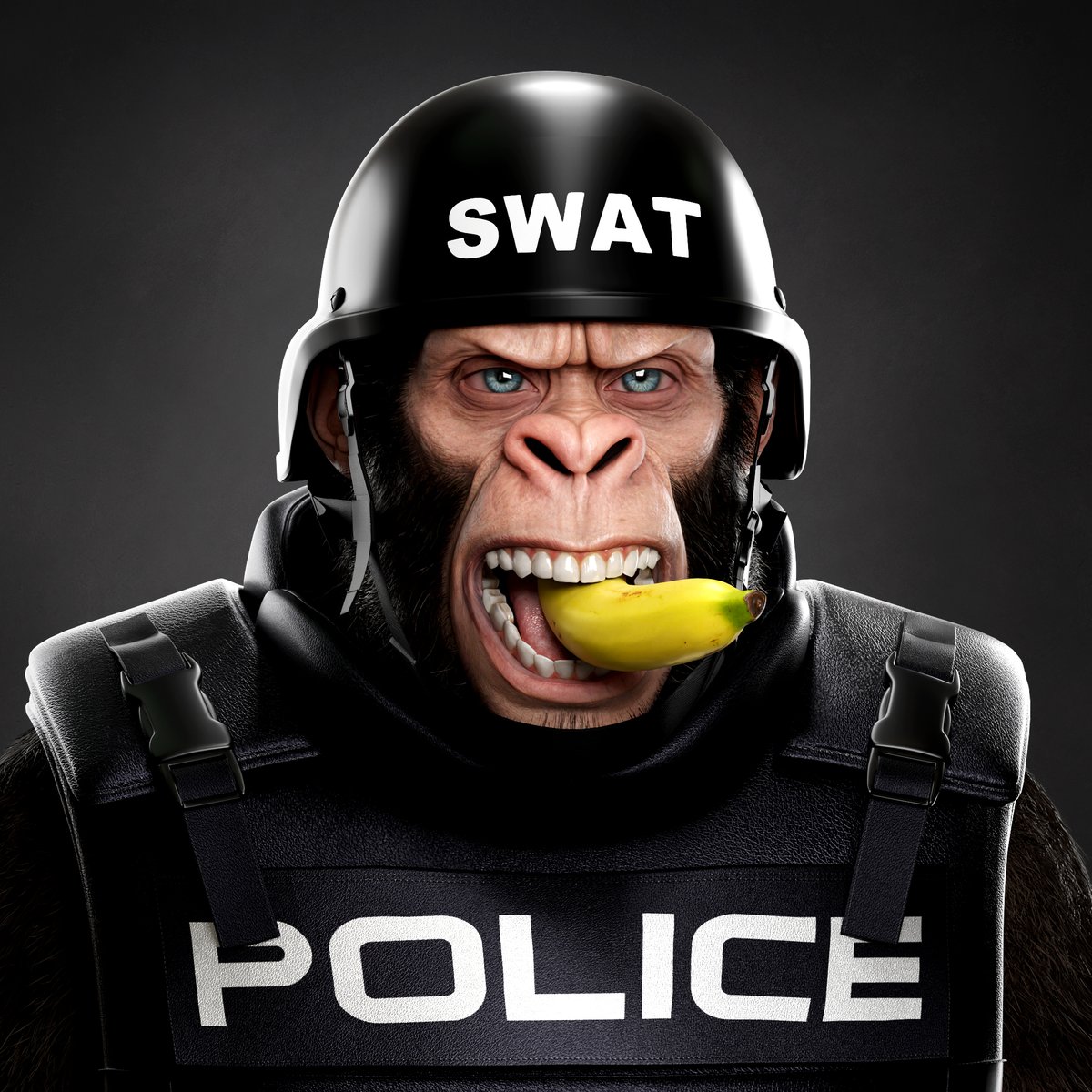 Supreme Kong tweet media