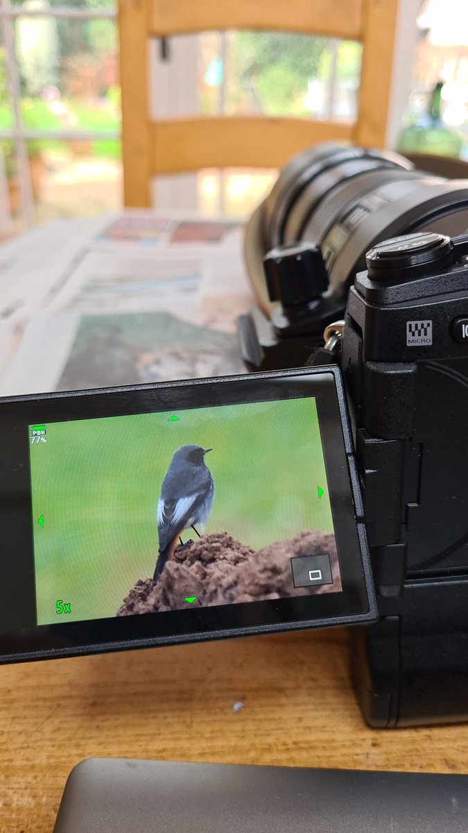 tomcdevon's tweet photo. Chuffing finally! The elusive, the sneaky, the very beautiful blackstart of Exmouth! #blackredstart #awfulphoto #shitbirdphotos @StephMurphy @Torquaybirder https://t.co/F1Zpvx0Tiw