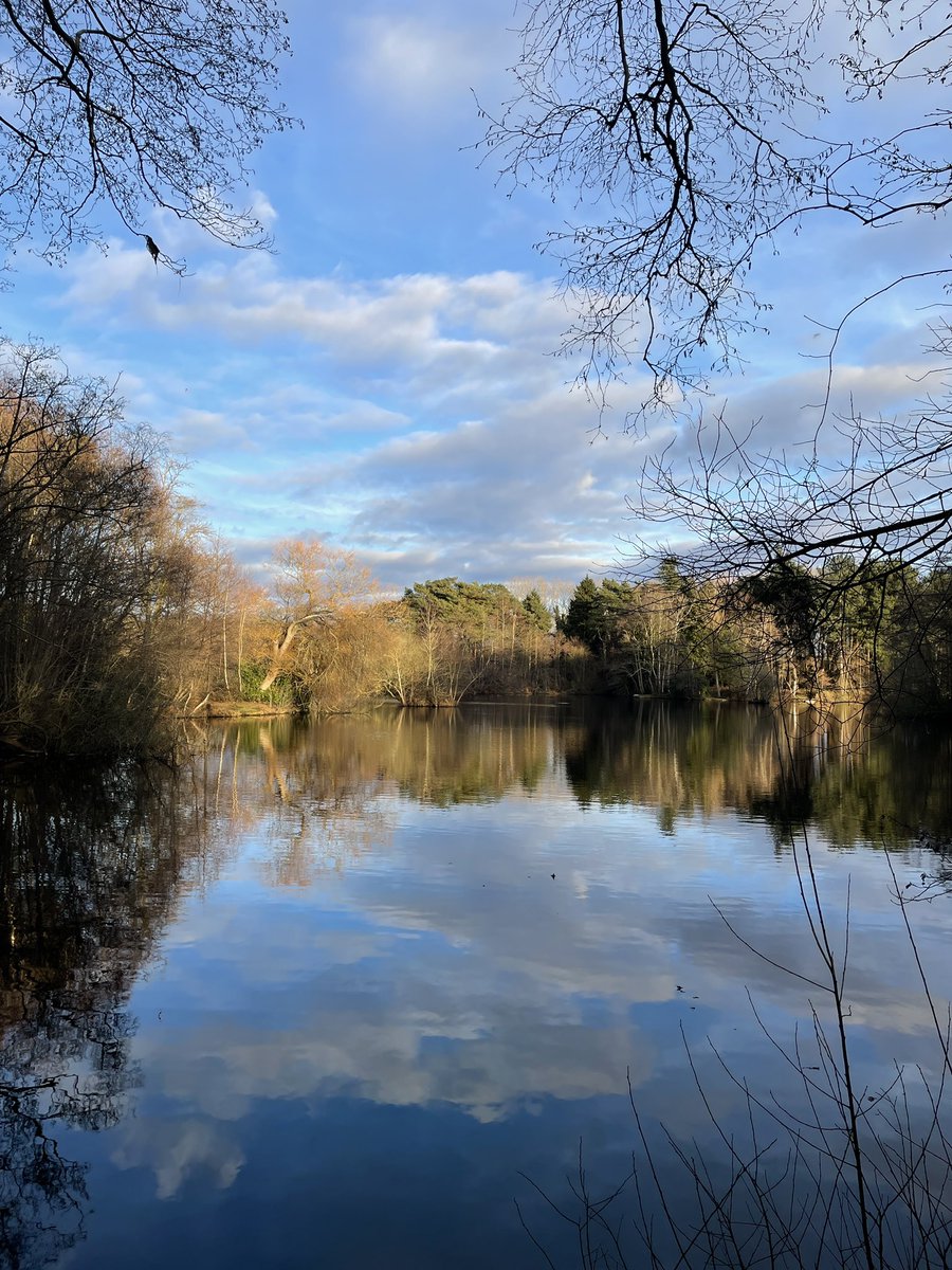 It may be winter, but it is still beautiful out on the reserve. ❄️☀️ #taverhammill