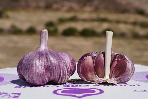 Robust demand for garlic from Peru but shipping is complicated - @whitelionfoods
https://t.co/g1QK1wHSNr https://t.co/cwtCMK1jpK
